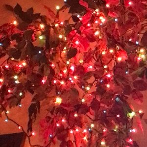 Meet your Posher, Mary ellen